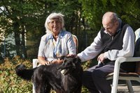 Zwei Senioren sitzen im Garten.