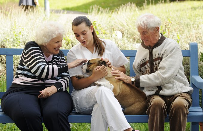 Zwei Senioren streicheln einen Hund, der auf dem Schoß einer Betreuungskraft sitzt