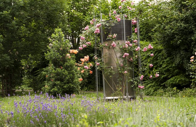 Garten des Ludwigstifts mit Lavendel und Rosen